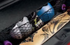 Trunk Cargo Net 2013 Dodge Dart - image 1