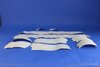 STRIPE TAPE - BODYSIDE - image 4