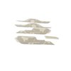 DECAL BODY - image 3