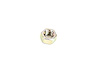 NUT - image 1