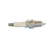 PLUG - image 3