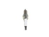 PLUG - image 2