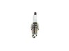PLUG - image 3
