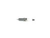 SPARKPLUG - image 2
