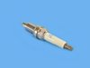 SPARKPLUG - image 2