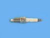 SPARKPLUG - image 4