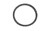 HW7831 Exhaust Pipe Flange Gasket; 1995-2001 Nissan Altima, 1996-2000 Nissan Pathfinder, 1997-2003 INFINITI QX4 - image 1