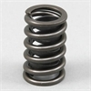 Valve Spring - image 1