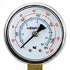 Regulator Adjustable 0-125 psi - image 4