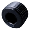 1/8 MPT PIPE PLUG-INTERNAL CHROME - image 1
