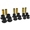 F150 2/4WD RR SPRG KIT 97-03 - image 1