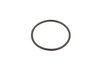 NONE - image 1