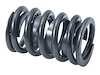 Dual Valve Spring with Damper Small Block