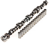 Purple Shaft Hydraulic Camshaft & Lifter Kit Chrysler 361, 383, 400, 413, 426W, 440 - image 1