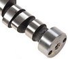 Purple Shaft Hydraulic Camshaft & Lifter Kit Chrysler 361, 383, 400, 413, 426W, 440 - image 3