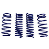 Stage 1 Performance Lowering Springs 2005-10 Charger/300 5.7L RWD - image 1