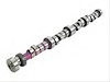 Purple Shaft Hydraulic Camshaft & Lifter Kit Jeep 4.0L (Up to 1998) - image 1