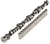 Purple Shaft Mechanical Camshaft & Lifter Kit 1966-69 Chrysler 426 Hemi - image 1