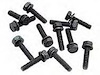 Valve Cover Retaining Screw Kit Includes 12 Black Retaining Screws - image 1