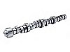 CAMSHAFT 5.7L PERFORMANCE CAMSHAFT - image 1