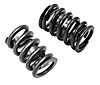 Dual Valve Spring with Damper Magnum V6 & V8