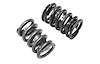Single HP Valve Spring Neon SOHC - image 1