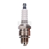Spark Plug Standard - image 1