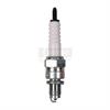 Spark Plug Standard - image 1