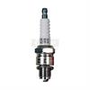 Spark Plug Standard - image 1