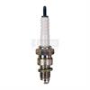 Spark Plug Standard - image 1