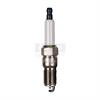 Spark Plug Double Plat - image 1