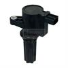 DIRECT IGN COIL - image 1