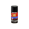 Perfect Match Touch-Up Paint Ebony Black