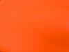 Paint Shop Paint Hugger Orange - image 1