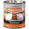 Paint Shop Paint Burnt Orange - image 1
