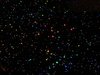 P/SHOPCLEAR COAT W/PRISM - image 1