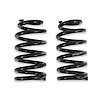 Front Coilover Spring Set - image 1