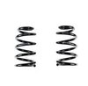Front Coilover Spring Set - image 2