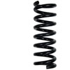 Front Coil Spring - image 1
