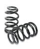 Front Coilover Spring Set - image 2