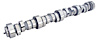 TPCC001 Polluter V1 Classic Camshaft for GM LS1 & LS6 Engines, Lift: .61x in. Int/.61x in. Exh - image 1