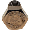 Cap Screw-Hex Head-Stainless Steel- 5/16-18 x 1/2 In. - image 2