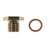 090-165 Oil Drain Plug Standard M12-1.50, Head Size 17mm W/6mm Countersunk Hex; 1994-2013 BMW