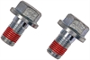 Caliper Bracket Bolt - image 1