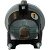 Fog Lamp Assembly - image 2