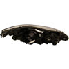 Head Lamp Assembly - image 2