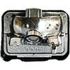Parking / Turn Signal Lamp Assembly - image 2