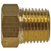 Pipe Plug Fitting Hex Head-1/8" MNPT Straight - image 2