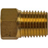 Inverted Flare Fitting Male Connector 1/4" x 1/4" MNPT - image 1
