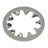 WASHR TOOTH LOCK INT 1/4 - image 1